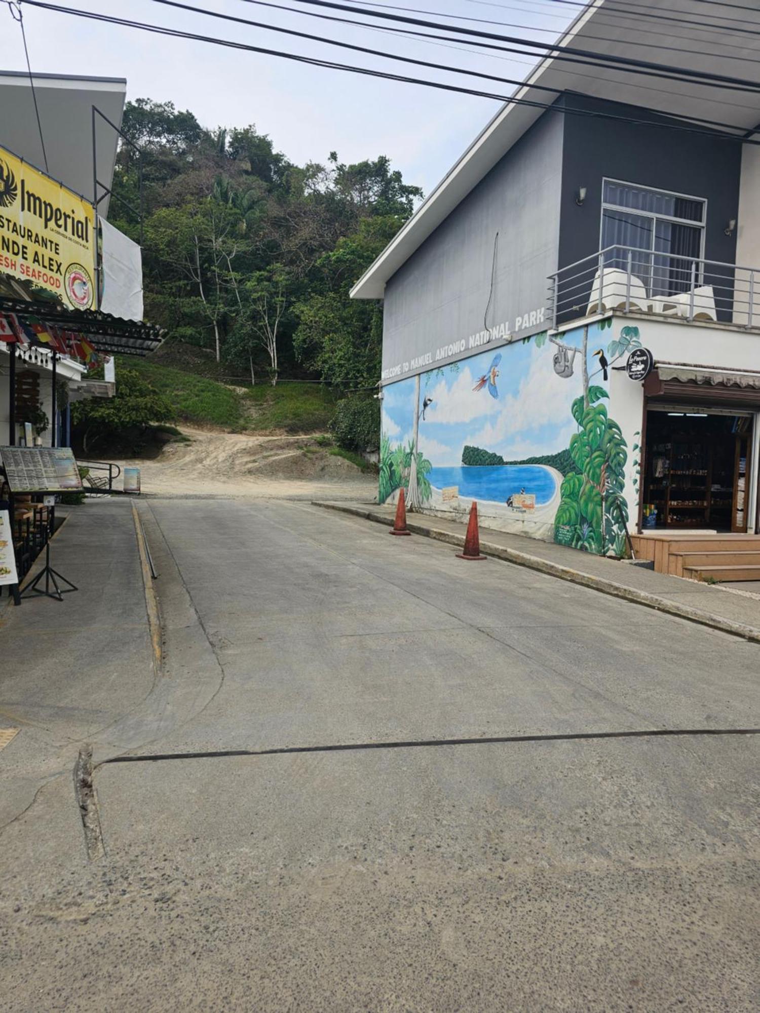 Pura Vida Apartments Quepos Ruang foto
